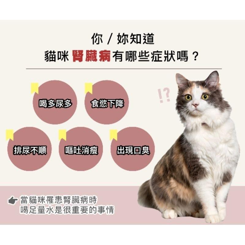 【Blue Cat】🔥現貨🔥🇩🇪德國 KATTOVIT 康特維 腎臟保健/泌尿保健 營養肉汁  135ml-細節圖2