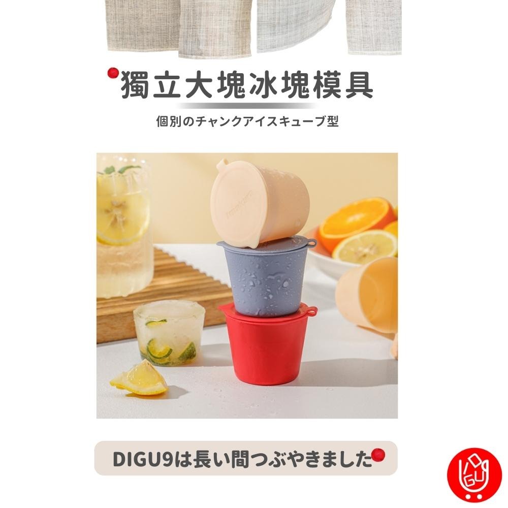 【台湾スポット🔴當天出貨】日本Imakara冰棒模具 雪糕模具 冰棒模具 獨立使用 清涼一夏 製冰模具 冰棒盒 雪糕盒-細節圖3