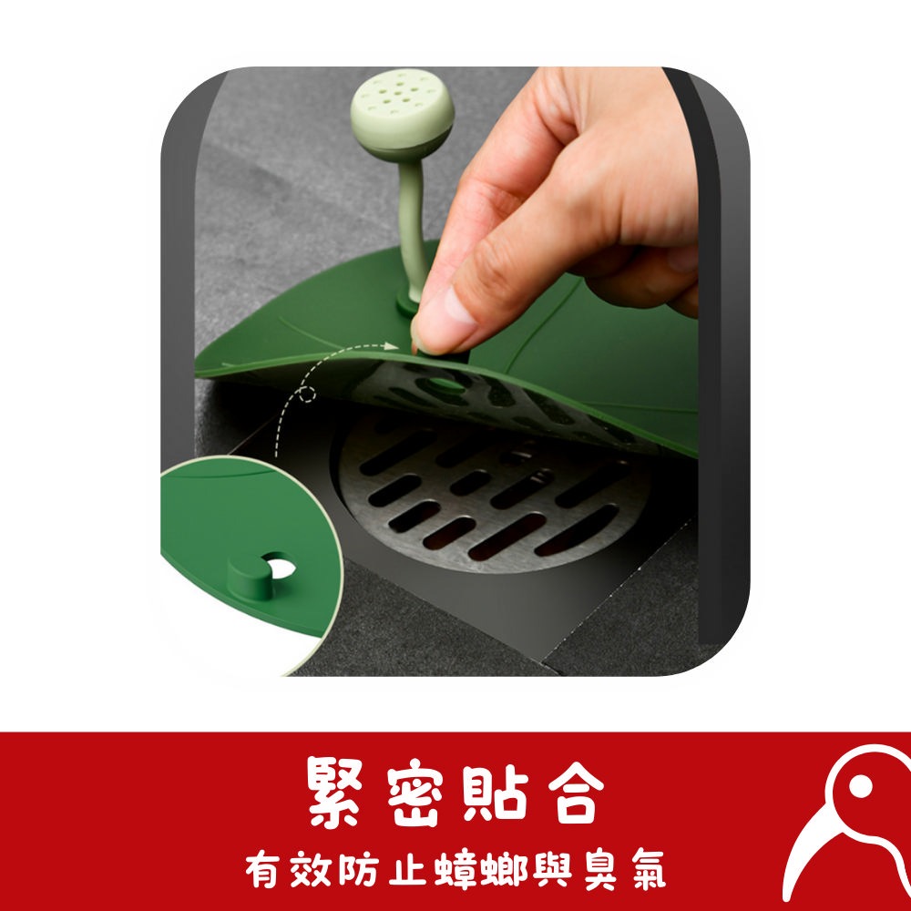 【日物販所🔴快速出貨】日本荷葉造型地漏 地漏 防臭地漏 落水頭 防臭落水頭 地漏芯 防臭地漏芯 換新地漏 防蟲 防臭-細節圖5