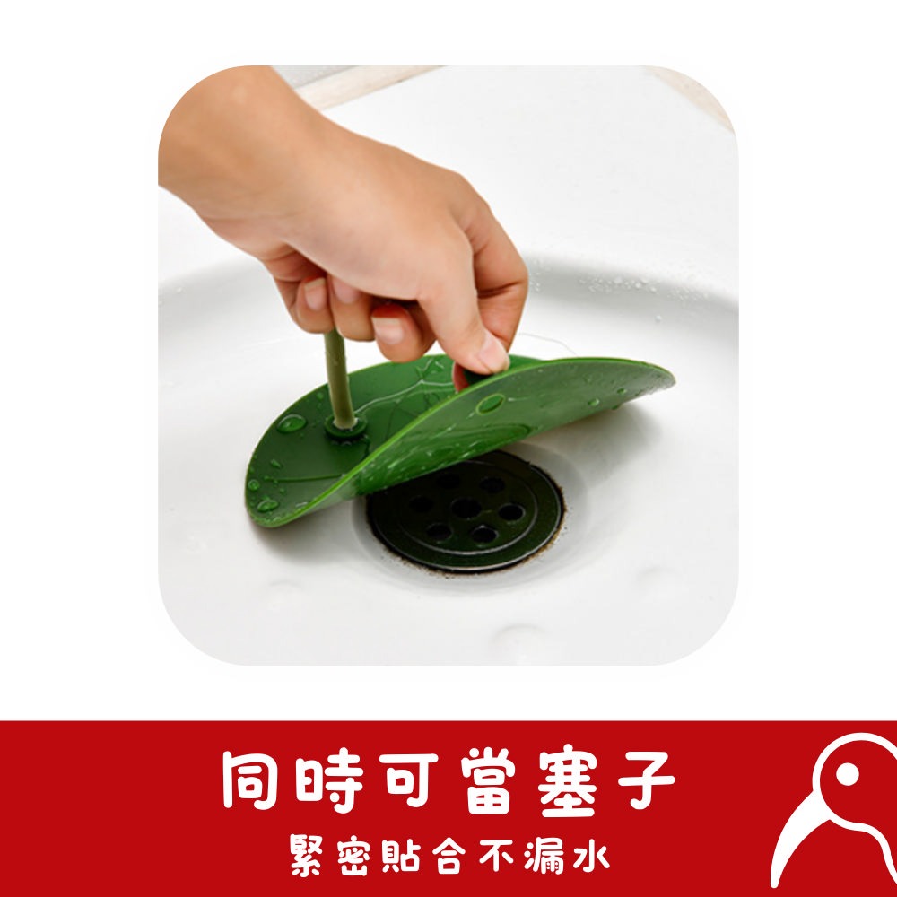 【日物販所🔴快速出貨】日本荷葉造型地漏 地漏 防臭地漏 落水頭 防臭落水頭 地漏芯 防臭地漏芯 換新地漏 防蟲 防臭-細節圖8