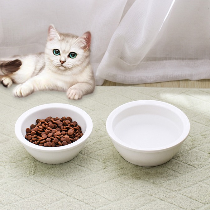 陶瓷寵物碗 貓碗 狗碗 小型犬 狗狗飲水 食盆 貓盆-細節圖3