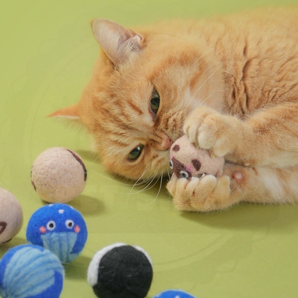 【寵幸】🔥現貨🔥貓咪獵物球 羊毛氈 貓咪玩具 天然羊毛 寵物玩具 貓玩具-細節圖5