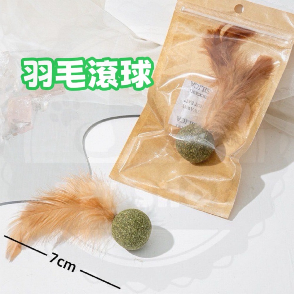 【寵幸】🔥現貨🔥小動物造型 木天蓼 貓薄荷 壓縮貓草 寵物玩具 木天蓼棒棒糖 磨牙玩具 貓草玩具 貓草棒棒糖 貓咪玩-規格圖2