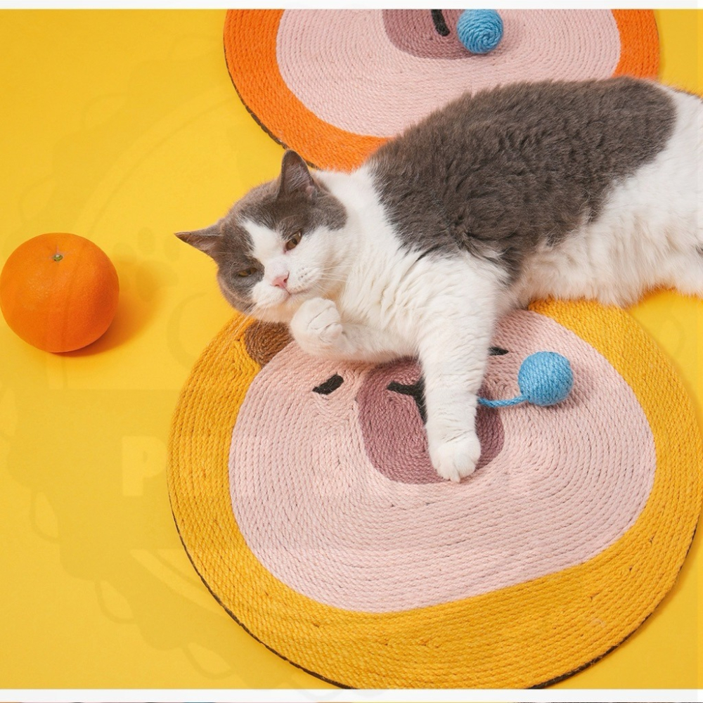 【寵幸】🔥現貨🔥卡皮巴拉 水果豚 貓抓墊 水豚 貓抓墊 貓抓板 耐抓不掉屑 多功能 可趴可掛 天然 劍麻 磨爪 貓玩-細節圖6