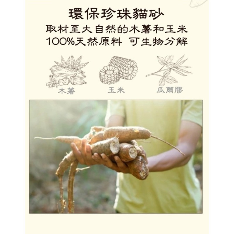 【寵幸】珍珠木薯貓砂 木薯砂 珍珠貓砂2.6kg 珍珠砂 豆奶香/鈴蘭花/小蘇打/加活性碳顆粒貓砂 珍珠-細節圖6