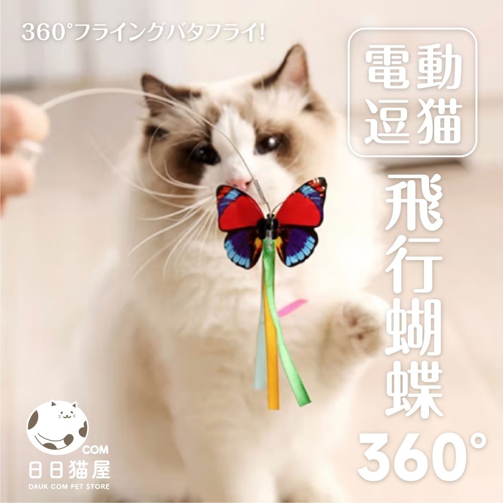 日日貓屋｜360度自動旋轉蝴蝶逗貓器｜ 貓玩具的自嗨神器-細節圖2