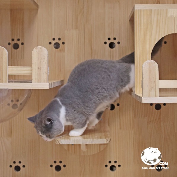 日日實木貓別墅－雙開版－159*90*60cm - 多層實木貓屋．客製化貓別墅-細節圖3