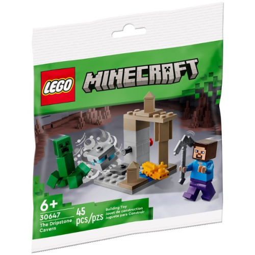 《狂樂玩具屋》 LEGO 30647 Minecraft 創世神