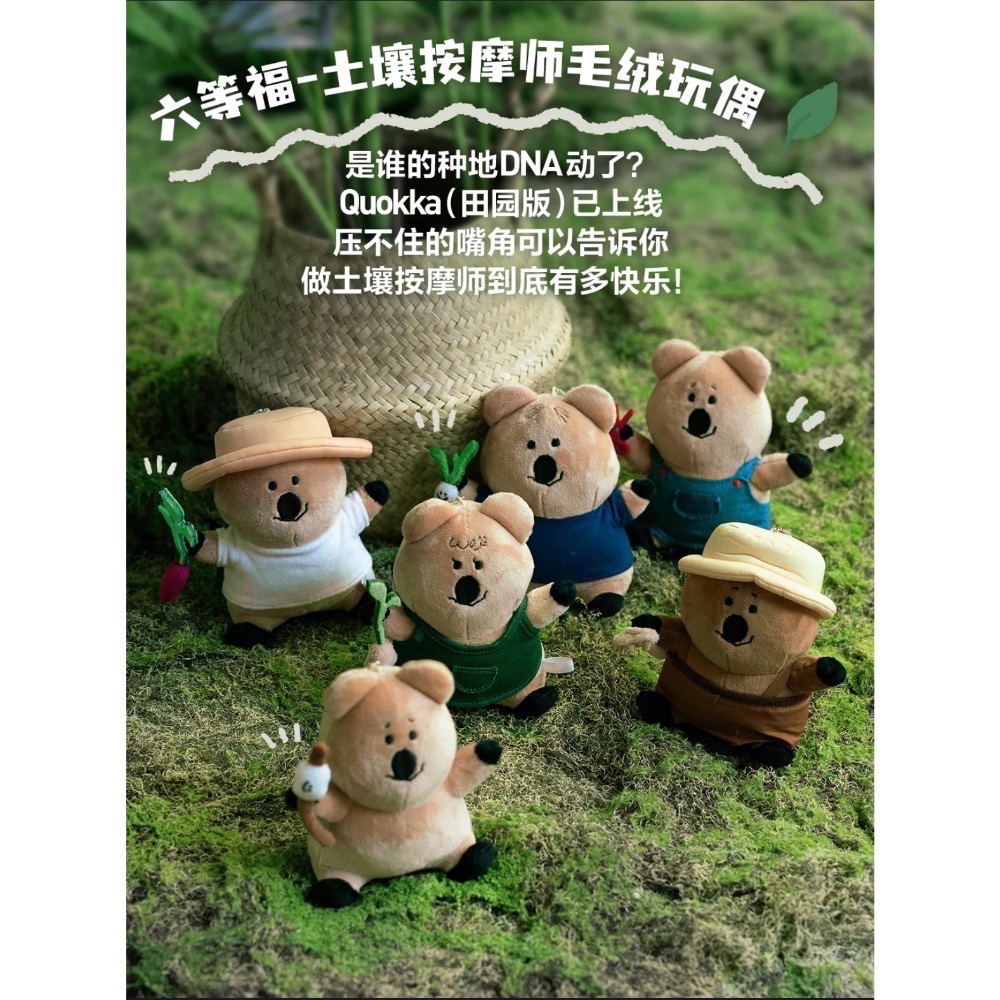 現貨 泡泡瑪特 POP MART 柿子熊DINOTAENG x 泡泡瑪特-細節圖3