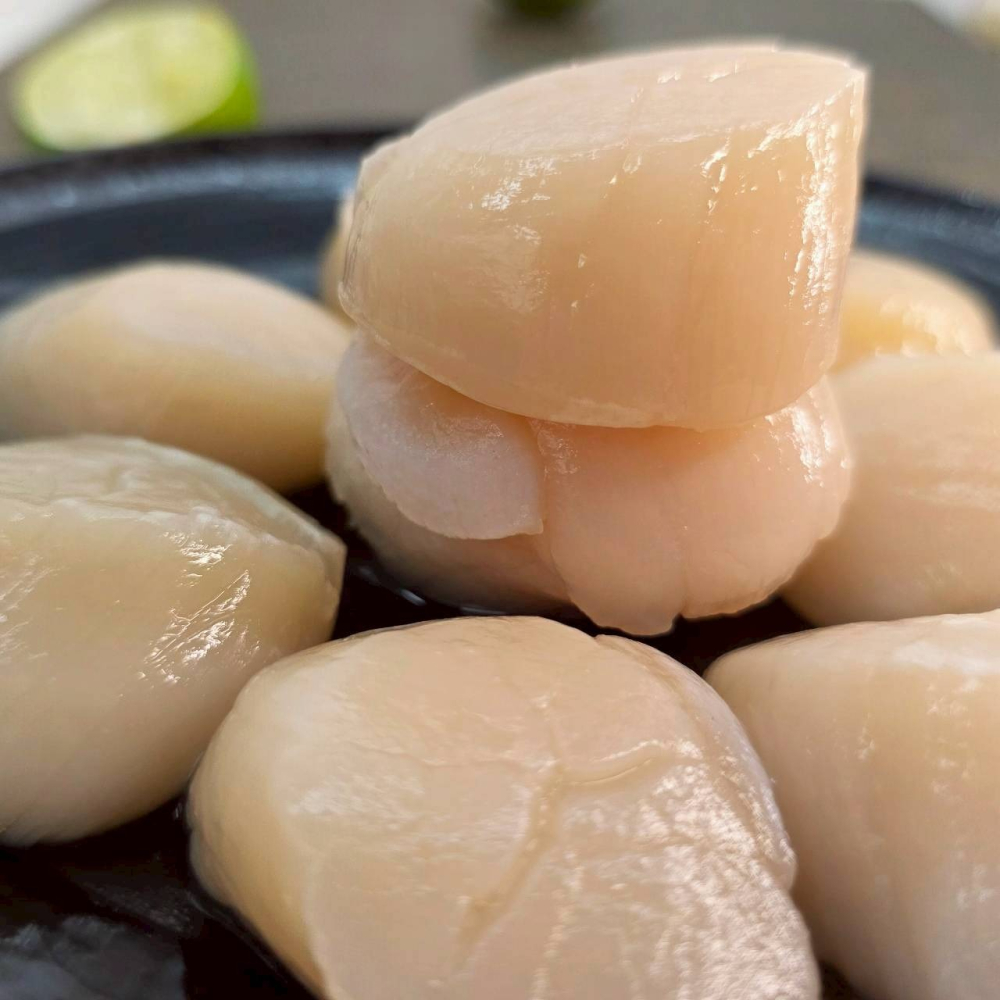 【原舟】日本稚內東部生干貝(規格3S)-細節圖2