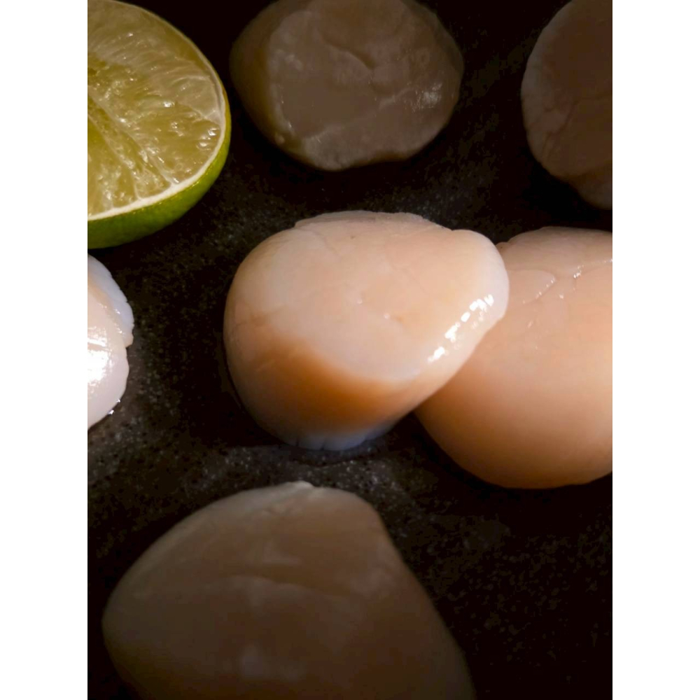 【原舟】日本稚內東部生干貝(規格3S)-細節圖4