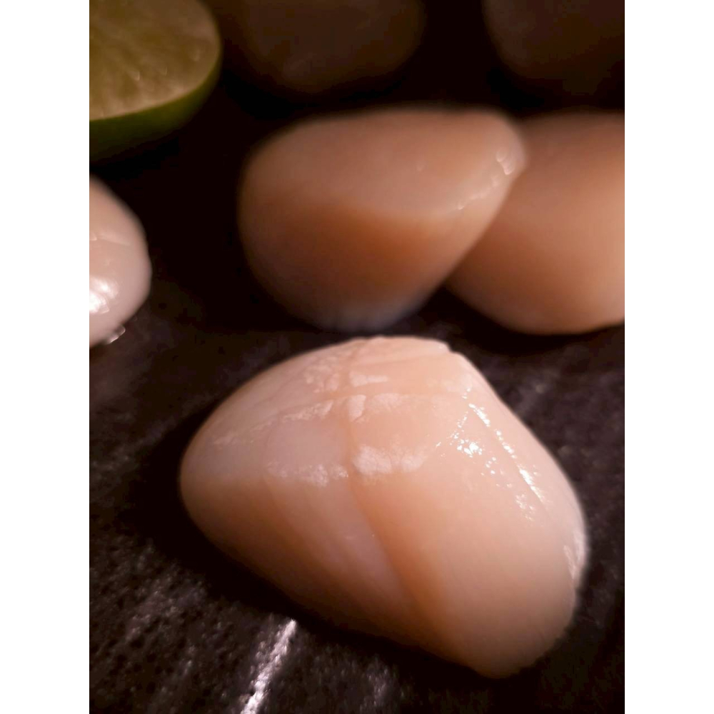 【原舟】日本稚內東部生干貝(規格3S)-細節圖5