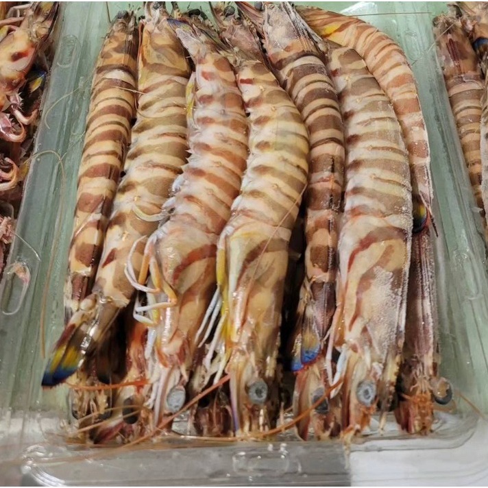 【原舟】北海野生明蝦-規格圖2