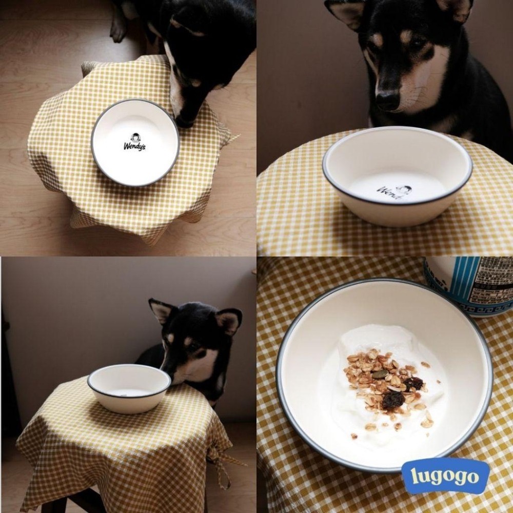 lugogo l 【Wendy＇s 溫蒂漢堡】 Wendy＇s 溫蒂漢堡 復古 圓盤 野餐盤 寵物碗-細節圖2