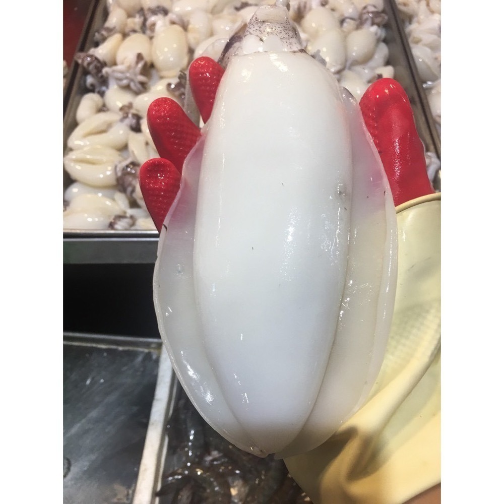 [誠實討海人] 深海軟絲 ( 300g/隻、600g/約2~3隻）799免運  貨到付款-細節圖3