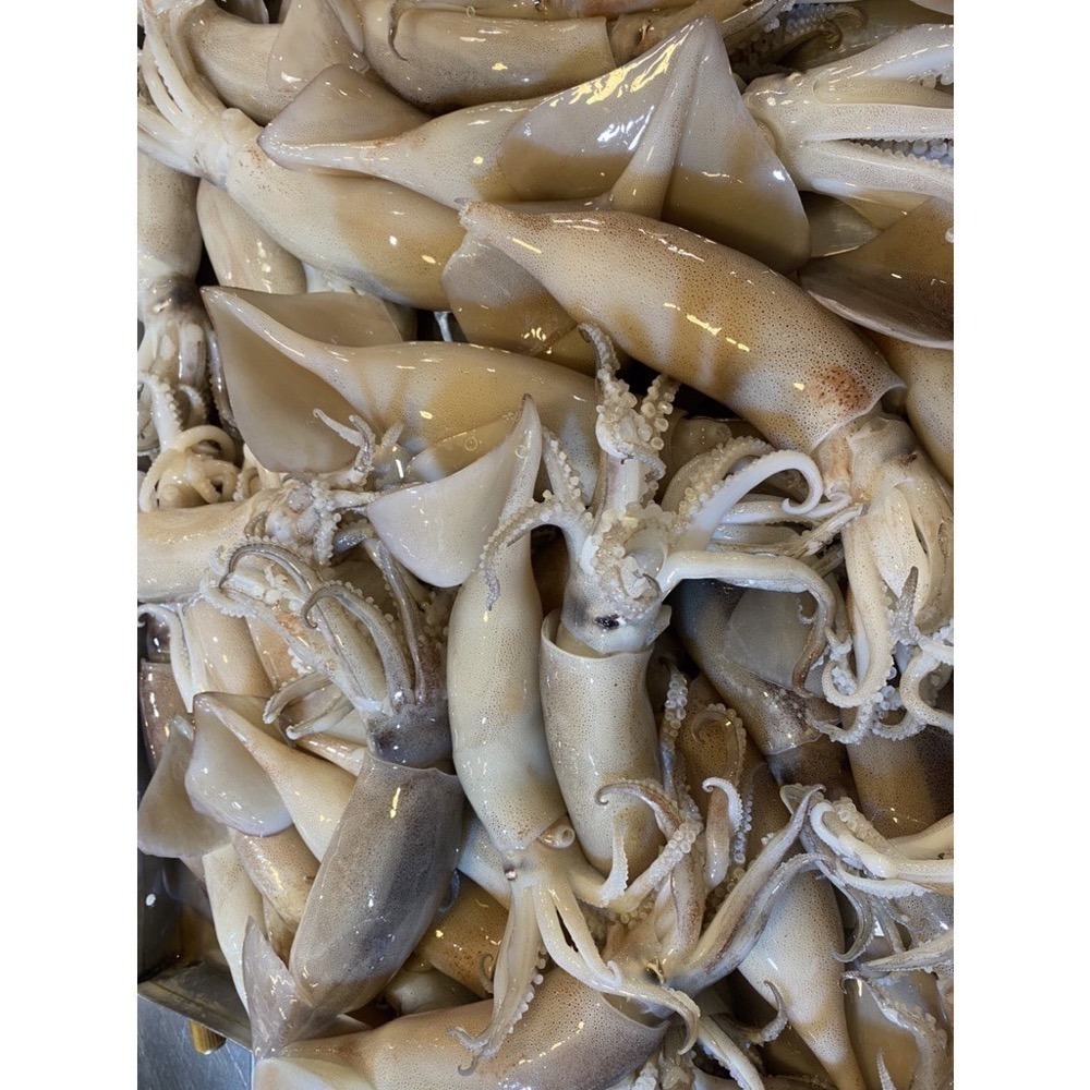 [誠實討海人] 阿根廷魷魚  魷魚 (300g±5%/尾) 799免運  夜市烤魷魚 串燒 燒烤 烤肉 海鮮 冷凍食品-細節圖4