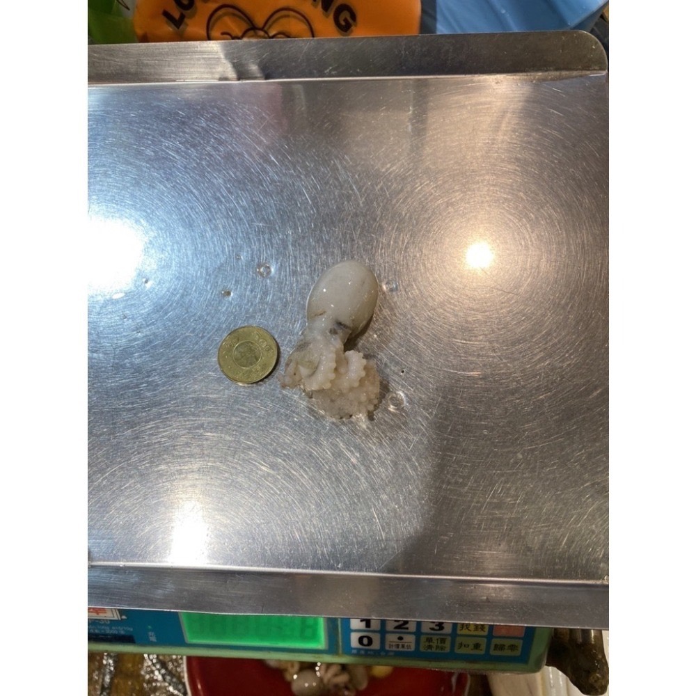 [誠實討海人]  現流去肚章魚 (600g±10%/份)  冷凍食品 海鮮 生章魚 章魚 海鮮-細節圖3