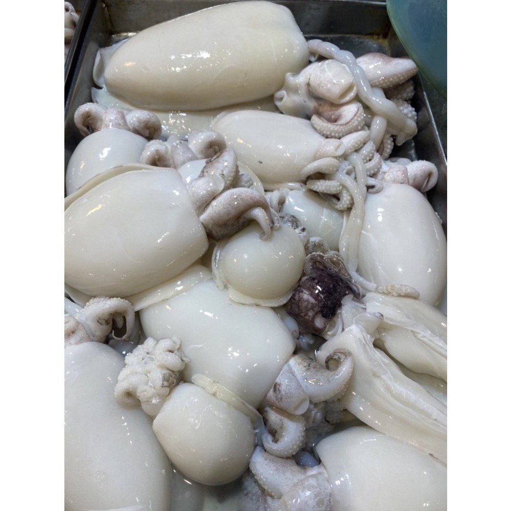 [誠實討海人] 現流花枝 宴客 川燙 低熱量 冷凍食品 調理 海鮮 花枝肉  799免運  貨到付款-細節圖2