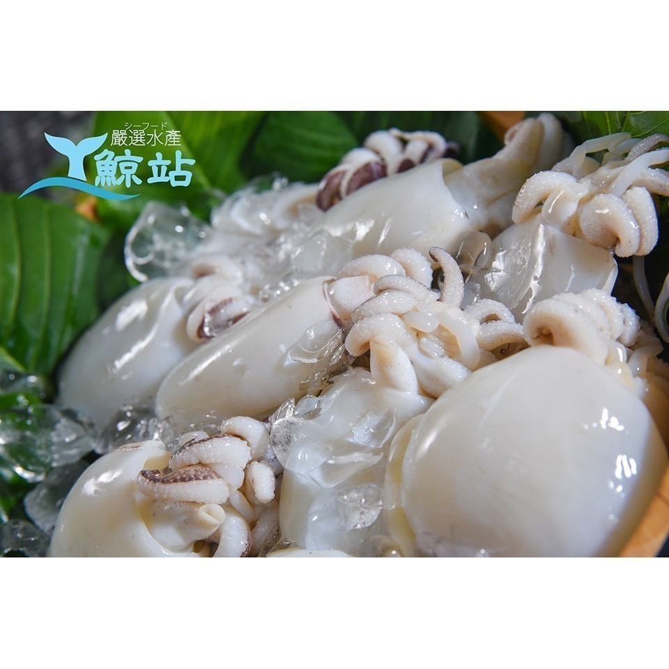 [誠實討海人] 現流花枝 宴客 川燙 低熱量 冷凍食品 調理 海鮮 花枝肉  799免運  貨到付款-細節圖6