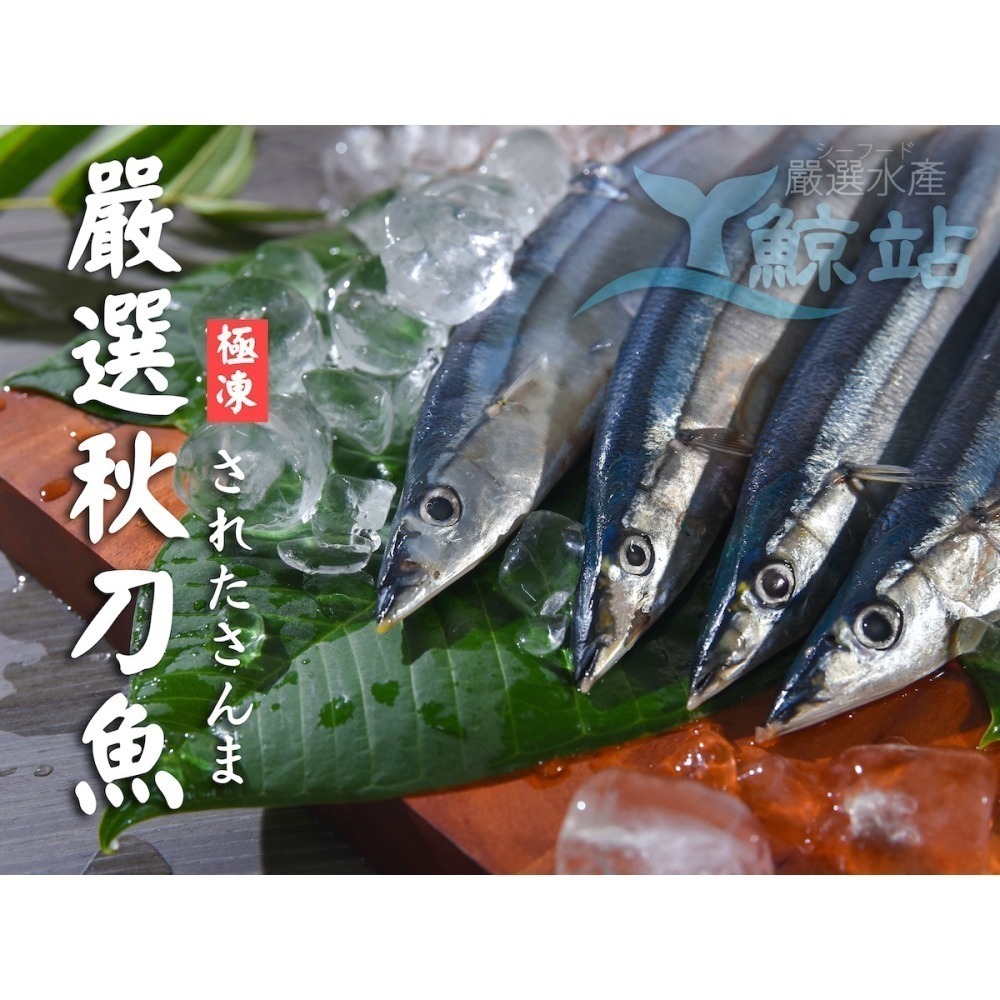 [誠實討海人] 秋刀魚 (300g±10%/3尾) 799免運  日本料理  燒烤店最愛 嚴選肥美秋刀魚 冷凍食品-細節圖2