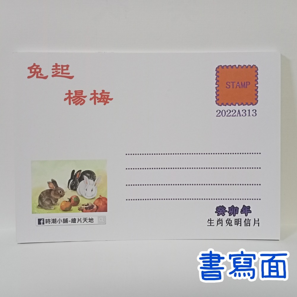 原圖卡 實寄戳 112.3.4 兔戳 臨時郵局 癸戳 臨局戳 明信片-細節圖4