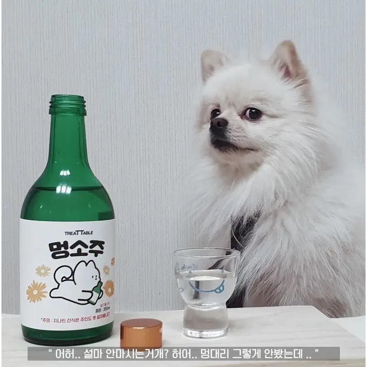 韓國🇰🇷寵物萌燒酒（無酒精）-細節圖2