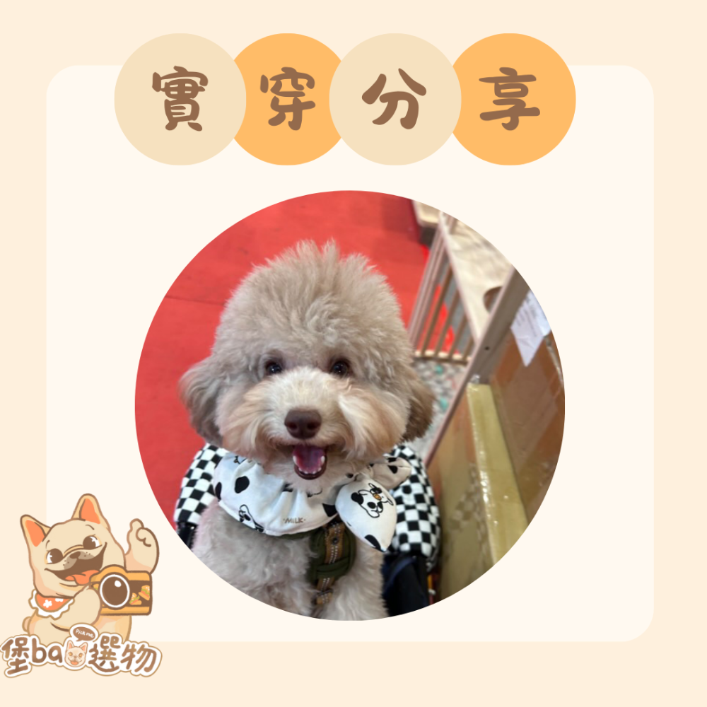 《葉葉領圍兜》-牛牛款 寵物領巾-細節圖4