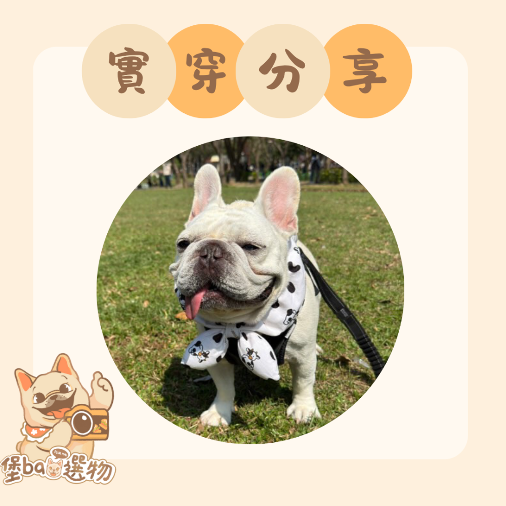 《葉葉領圍兜》-牛牛款 寵物領巾-細節圖5