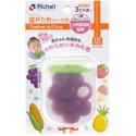 Richell 利其爾 可愛造型固齒器 水果/蔬菜固齒器(附收納盒) 嬰幼兒固齒器 寶寶固齒器 嬰幼兒玩具 咬咬樂-規格圖2