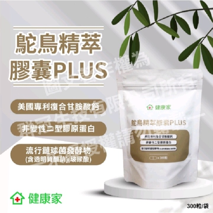 【分售】健康加 鴕鳥精萃膠囊PLUS300粒/袋 美國專利復合甘胺酸鈣 非變性二型膠原蛋白-規格圖1