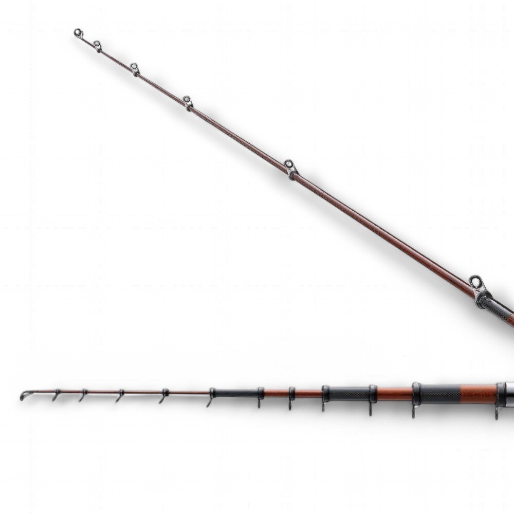 紅海釣具企業社【SHIMANO】RAIARM BG 磯釣竿 大物竿  (22年款)-細節圖2