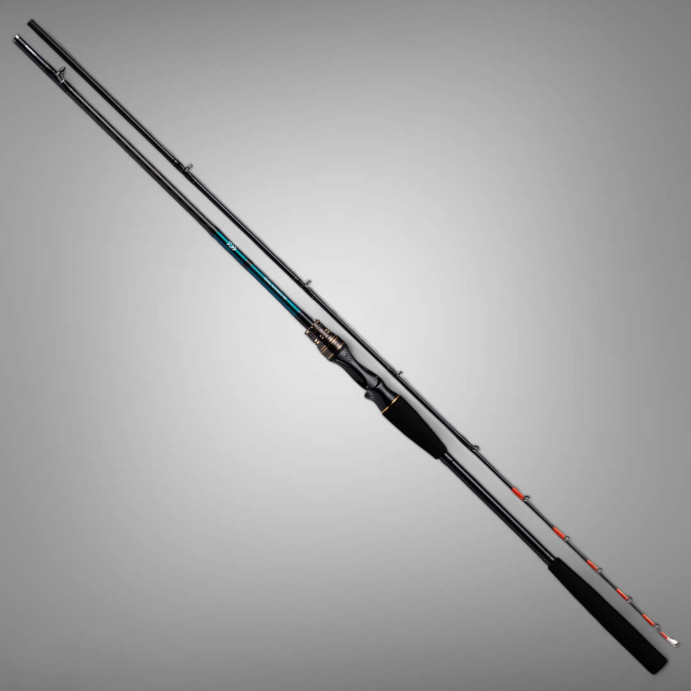 中壢紅海釣具【DAIWA】船竿 TENYA TACHIUO X  天亞竿 船釣小搞搞-細節圖2