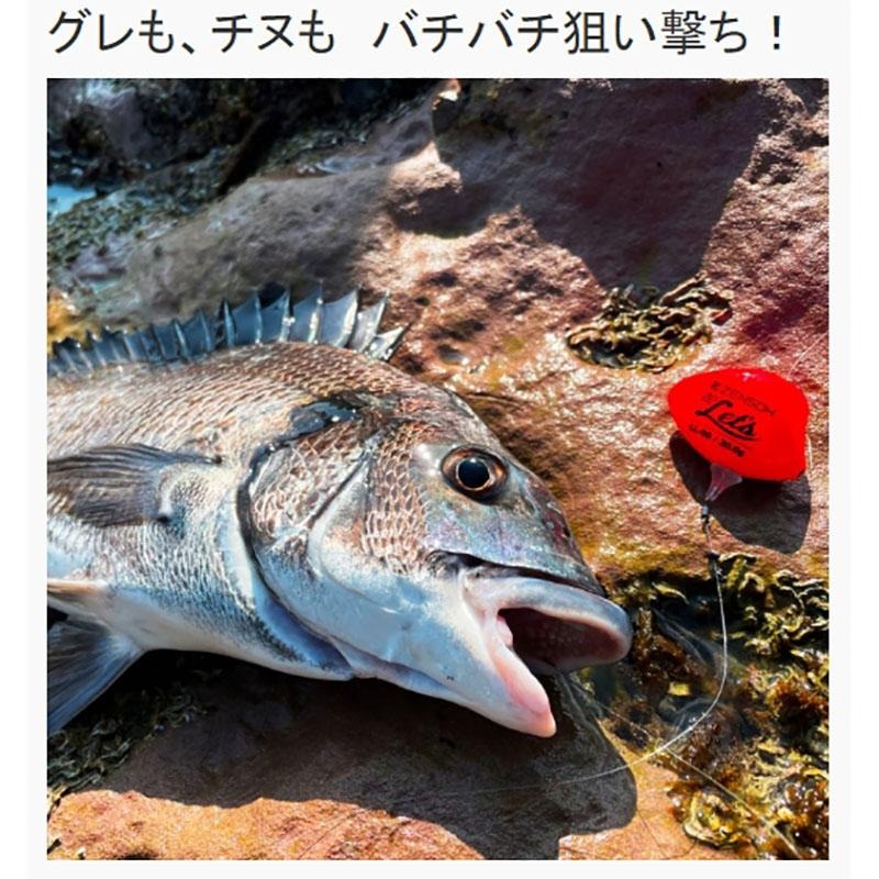 中壢紅海釣具【KIZAKURA】ZENSOH 22 Let’s 全泳層磯釣阿波 船型阿波-細節圖5