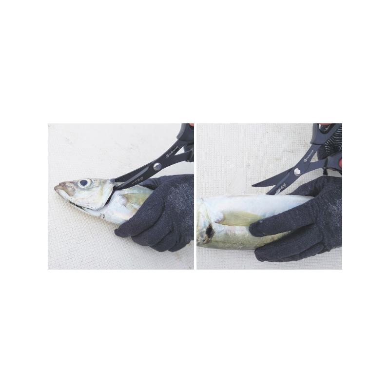 紅海釣具企業社《Belmont》MP-290 一刀兩斷 殺魚剪刀-細節圖6