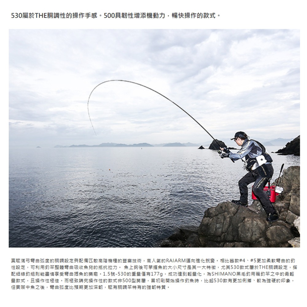 紅海釣具企業社【SHIMANO】 RAIARM  2.25-53 磯釣竿 磯。防波堤竿-細節圖7