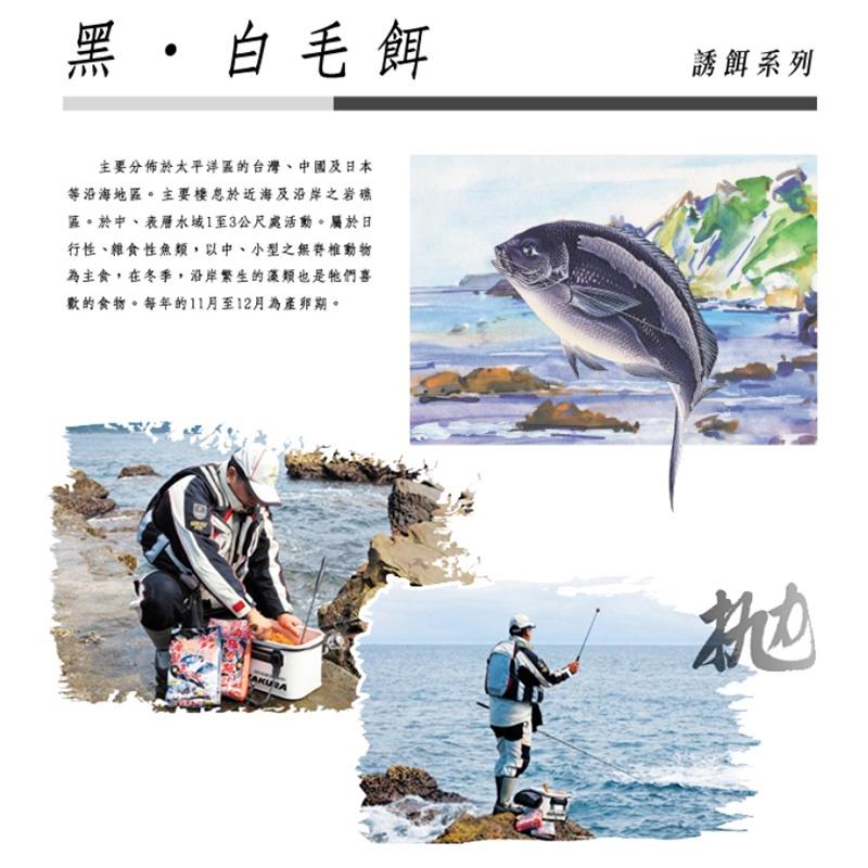 中壢鴻海釣具《南台灣釣餌》海龍王二代  磯釣誘餌粉 海釣誘餌粉 (超商取貨限2包)-細節圖3