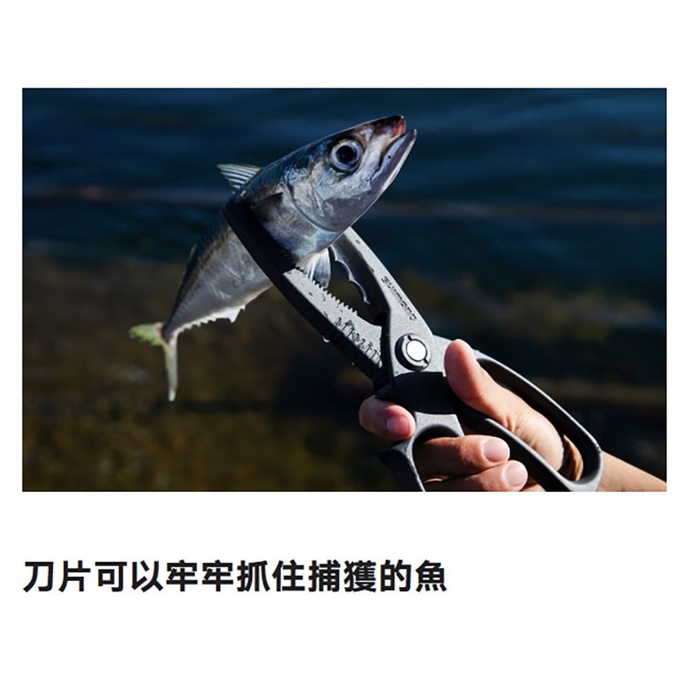 【紅海釣具企業社】SHIMANO CT-982R 夾魚鉗 魚夾 釣魚裝備-細節圖7