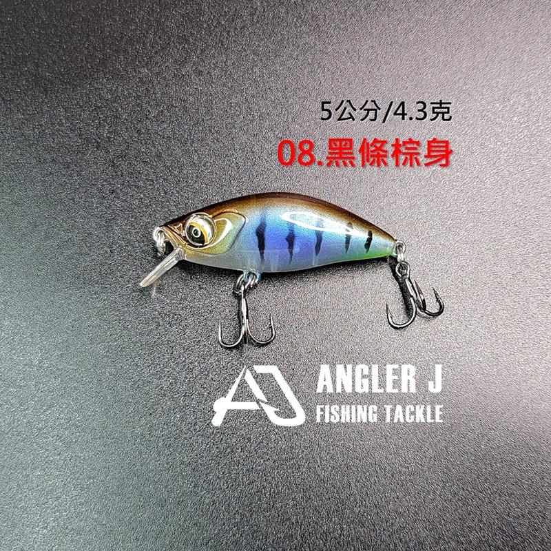 中壢鴻海釣具《ANGLER J》AJ 隆背緩沉米諾-細節圖9