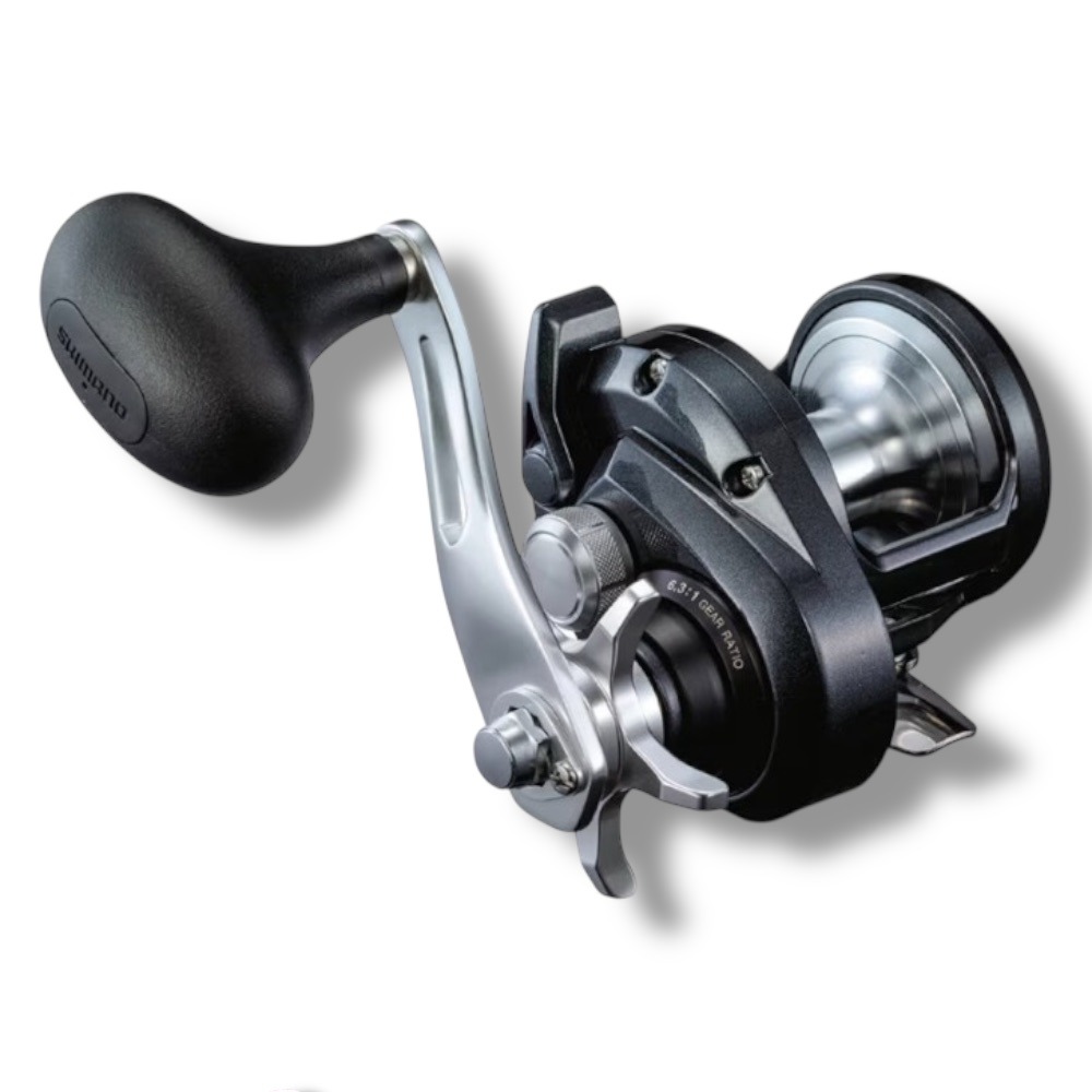 紅海釣具企業社【SHIMANO】 TORIUM 2000HG 兩軸捲線器 (20年款) 強力捲線器 鼓式 右捲 鐵板捲-規格圖5