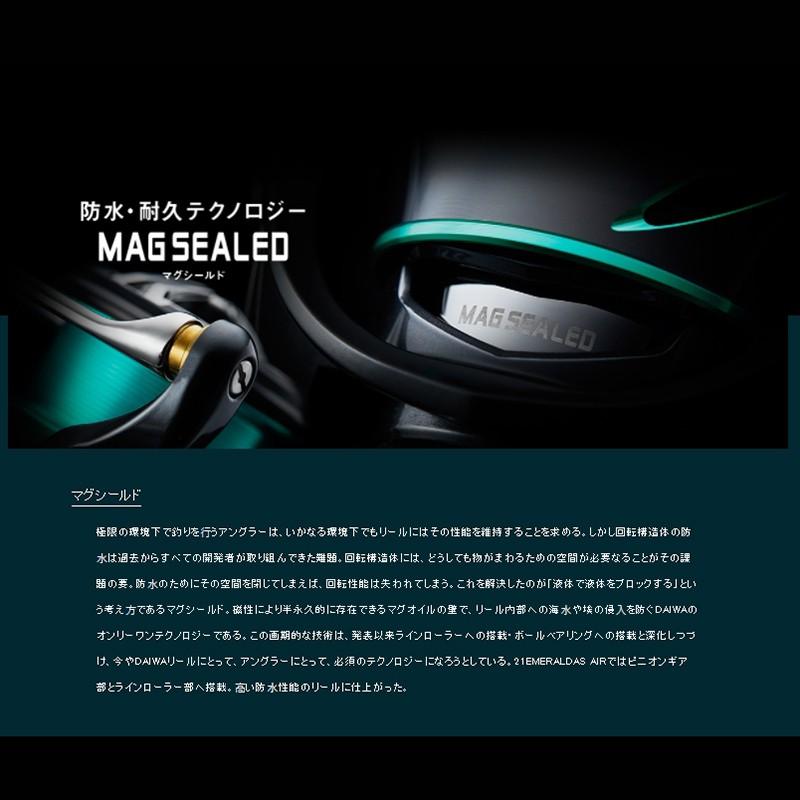 (中壢鴻海釣具)《DAIWA》21 EMERALDAS AIR LT2500-DH軟絲捲線器 木蝦專用機-細節圖4