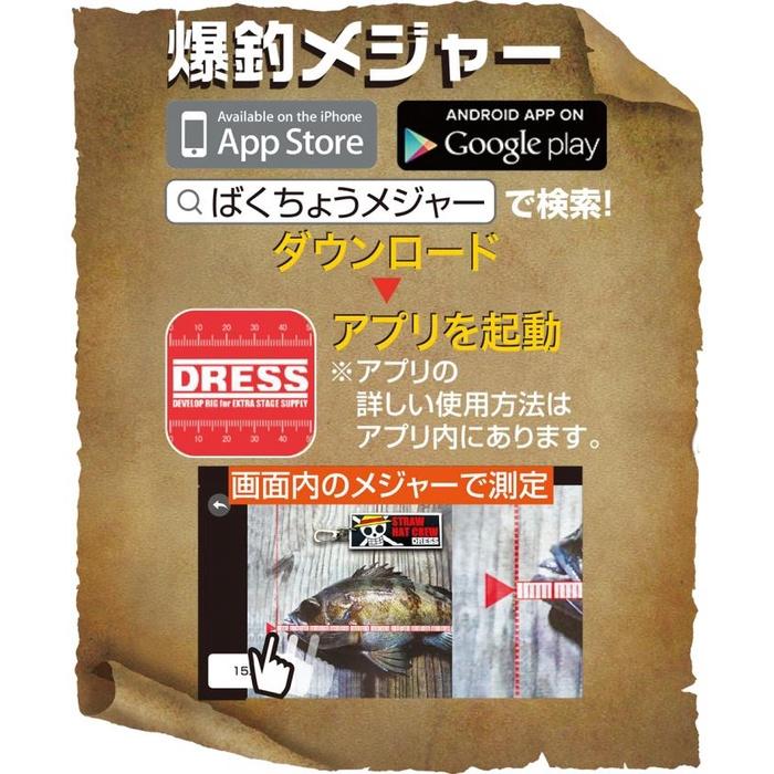 (紅海釣具企業社)《DRESS》聯名海賊王- 草帽海賊團 電子魚尺 鑰匙圈  日本正品 限量-細節圖4