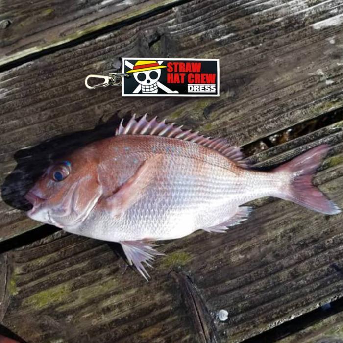 (紅海釣具企業社)《DRESS》聯名海賊王- 草帽海賊團 電子魚尺 鑰匙圈  日本正品 限量-細節圖6