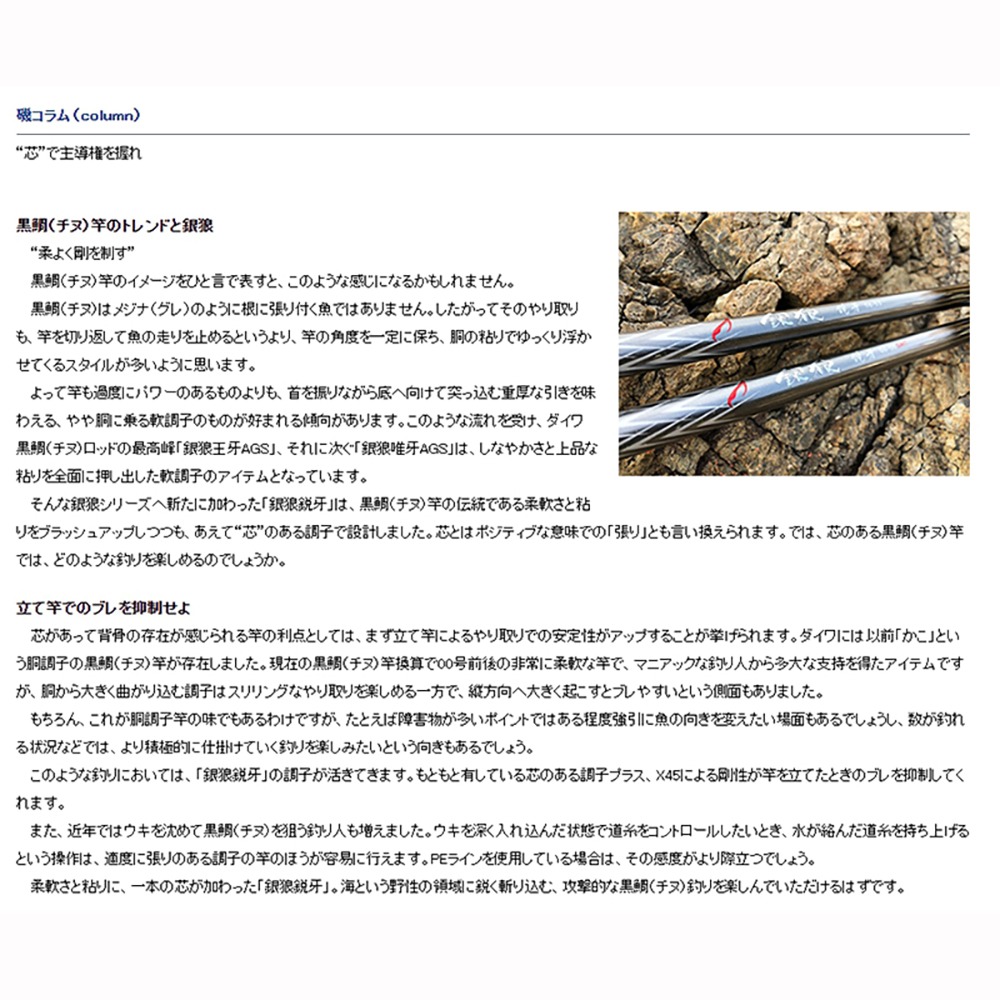 紅海釣具企業社【DAIWA】銀狼 銳牙 磯釣竿 魚竿 海釣 磯竿 限宅配 銀狼銳牙-細節圖8