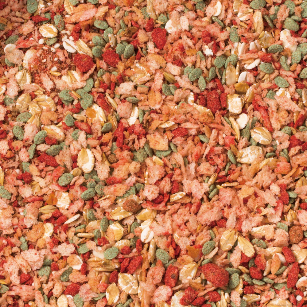 中壢紅海釣具【MARUKYU】丸久 爆寄せグレ 爆誘黑白毛 (2kg) 磯釣誘餌粉-細節圖3