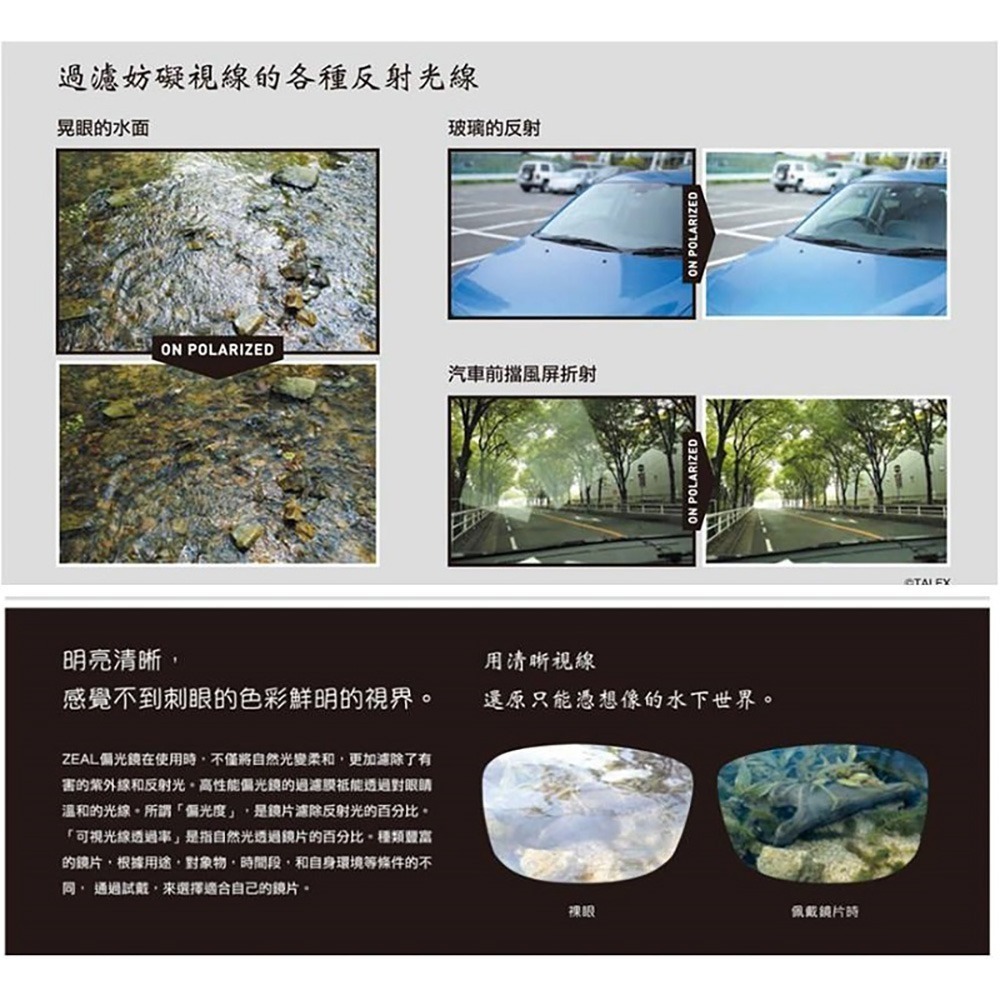 中壢紅海釣具【Zeque by ZEAL OPTICS】Baron  偏光鏡片外框  需搭配眼鏡主框-細節圖9