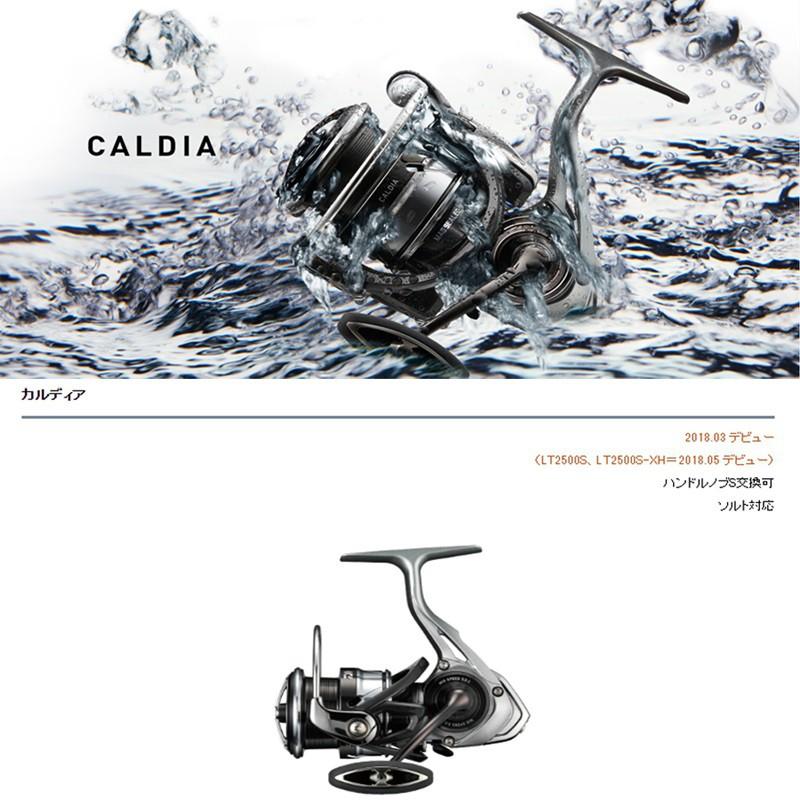(鴻海釣具企業社) 《DAIWA》18 CALDIA LT紡車捲線器 釣魚-細節圖2