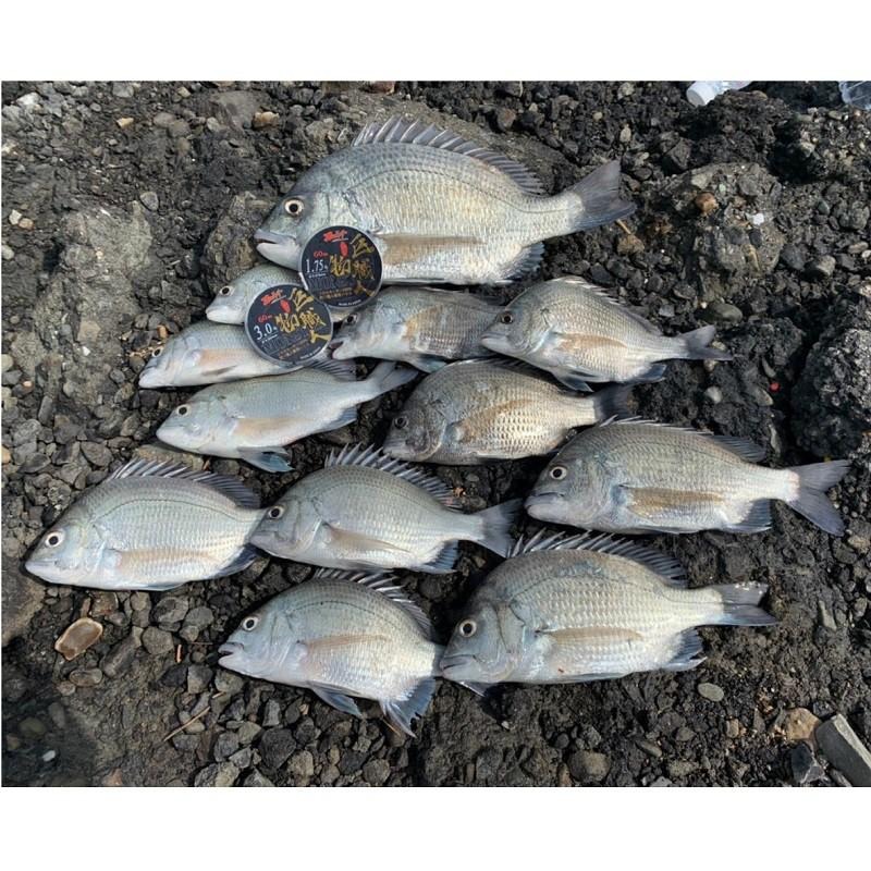 紅海釣具企業社【TANAKA】ZENITH《巨物職人》60m卡夢線 碳纖線 碳素線 子線 磯釣魚線-細節圖4