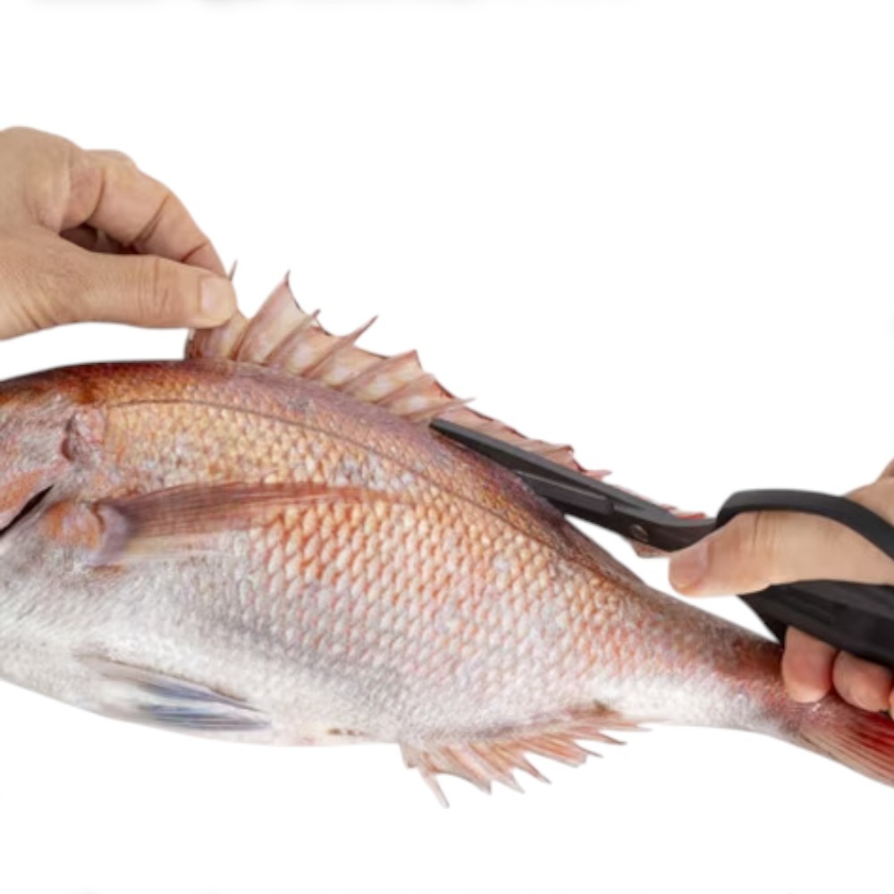 中壢紅海釣具【SHIMANO】 CT-524Y 釣魚剪刀 (25年秋磯款) 快剪 L-細節圖4