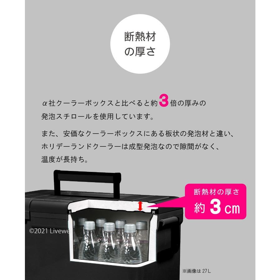 中壢鴻海釣具【SHINWA】伸和 HOLIDAY CBX-33L 冰箱  硬式冰箱 保冷冰桶 釣魚冰箱 露營 (日本製)-細節圖9