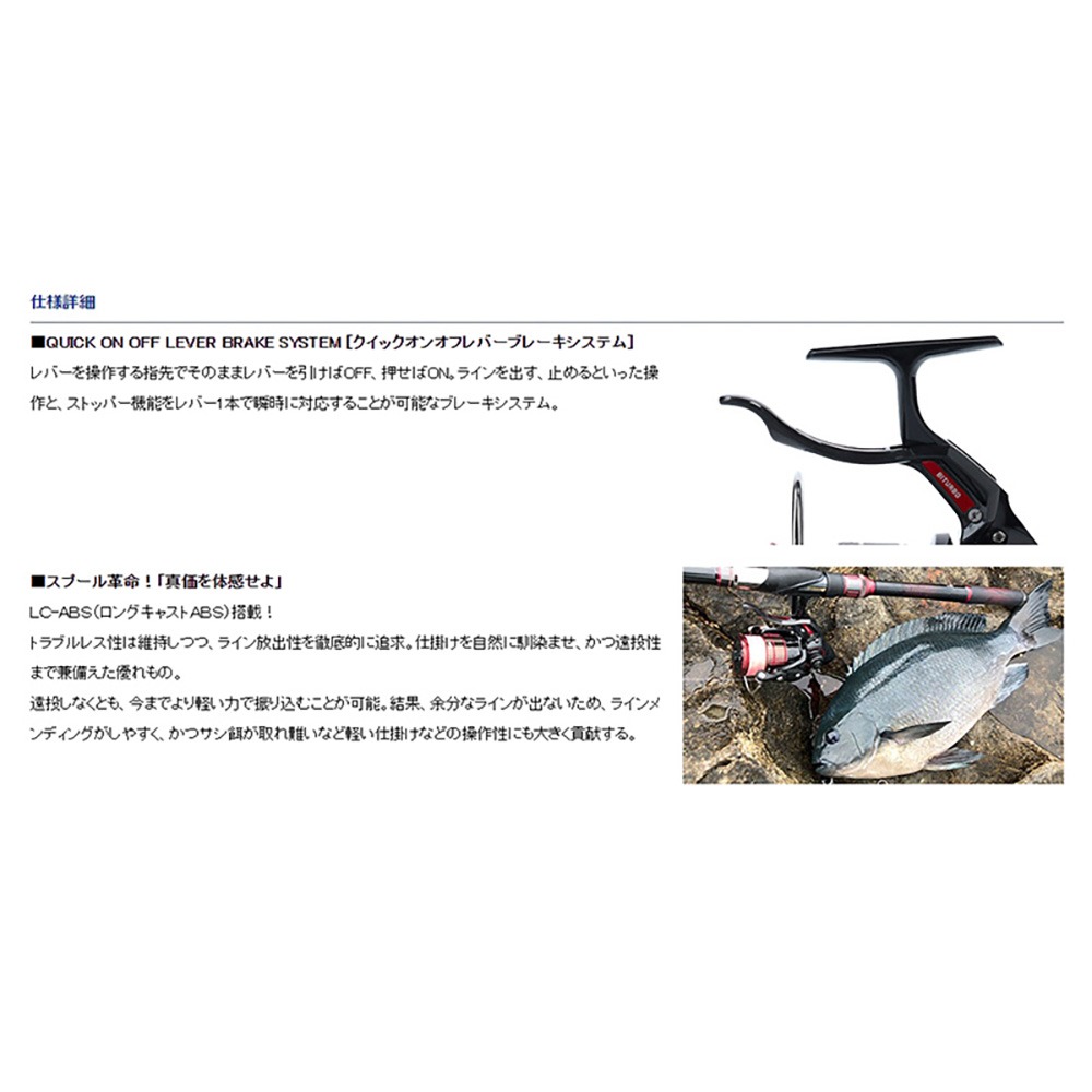 紅海釣具企業社【DAIWA】19 CYGNUS 2500H-LBD，3000H-LBD  手煞車捲線器 雙線杯-細節圖6